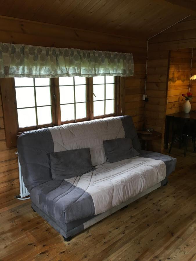 Heidi Cabin Leilighet Reykholt  Eksteriør bilde
